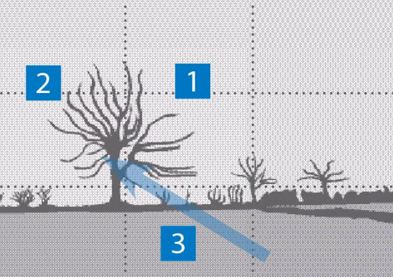 Was ist Regel 11 in der Fotografie?
