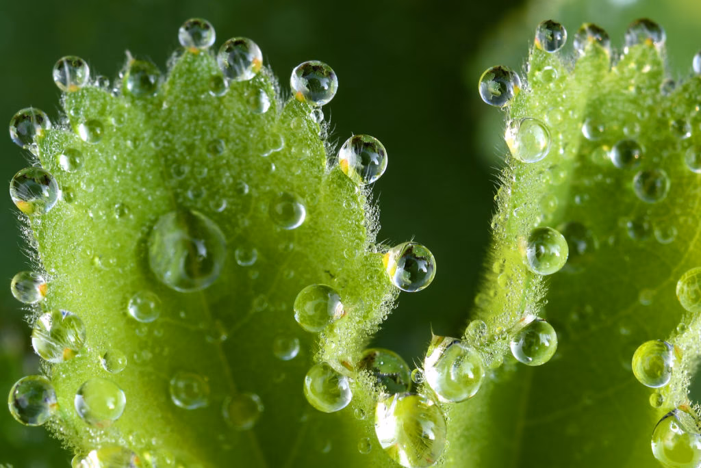 Wie viel dpi sollte ein Bild haben?