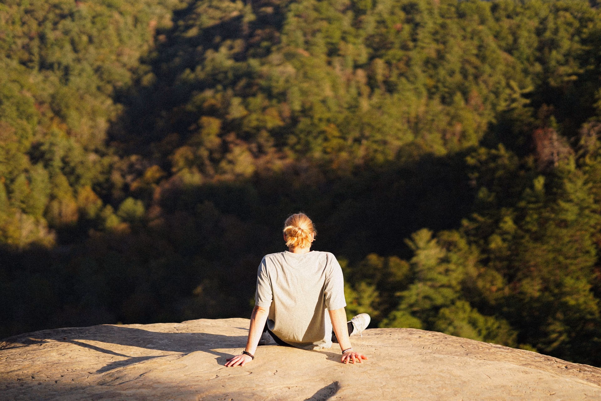 Wer ist Adam Müller?