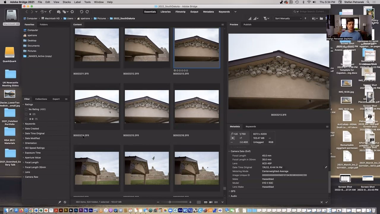 Wie kann ich die Vorher/Nachher-Ansicht in Camera Raw optimieren?