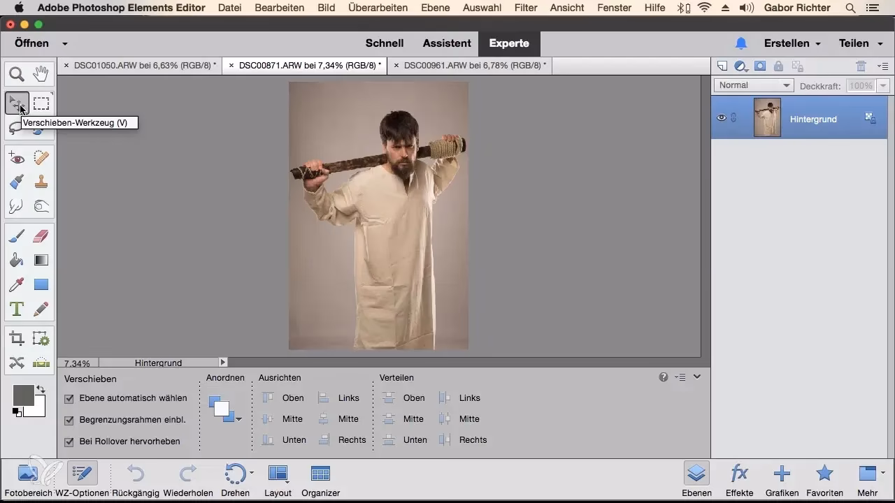 Wo befindet sich der Katalogspeicherort in Adobe Elements?