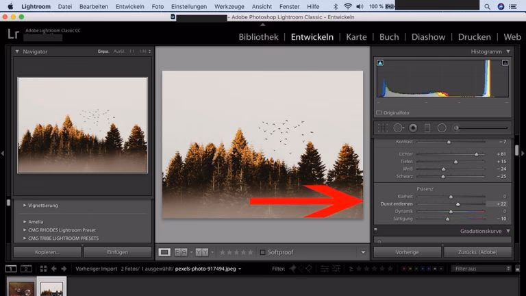 Wie viele Geräte können das Lightroom-Abonnement nutzen?