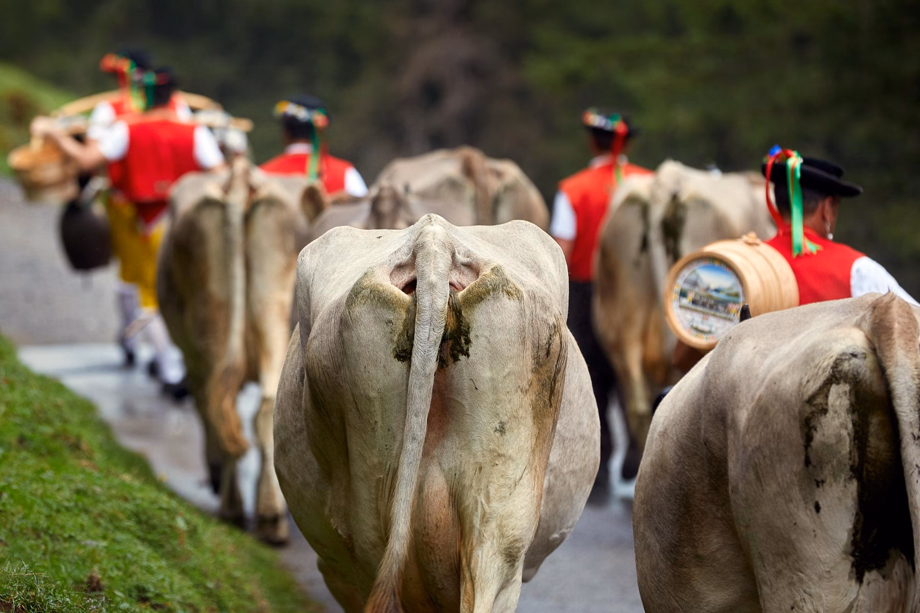Wie steil ist der Weg zum Seealpsee?