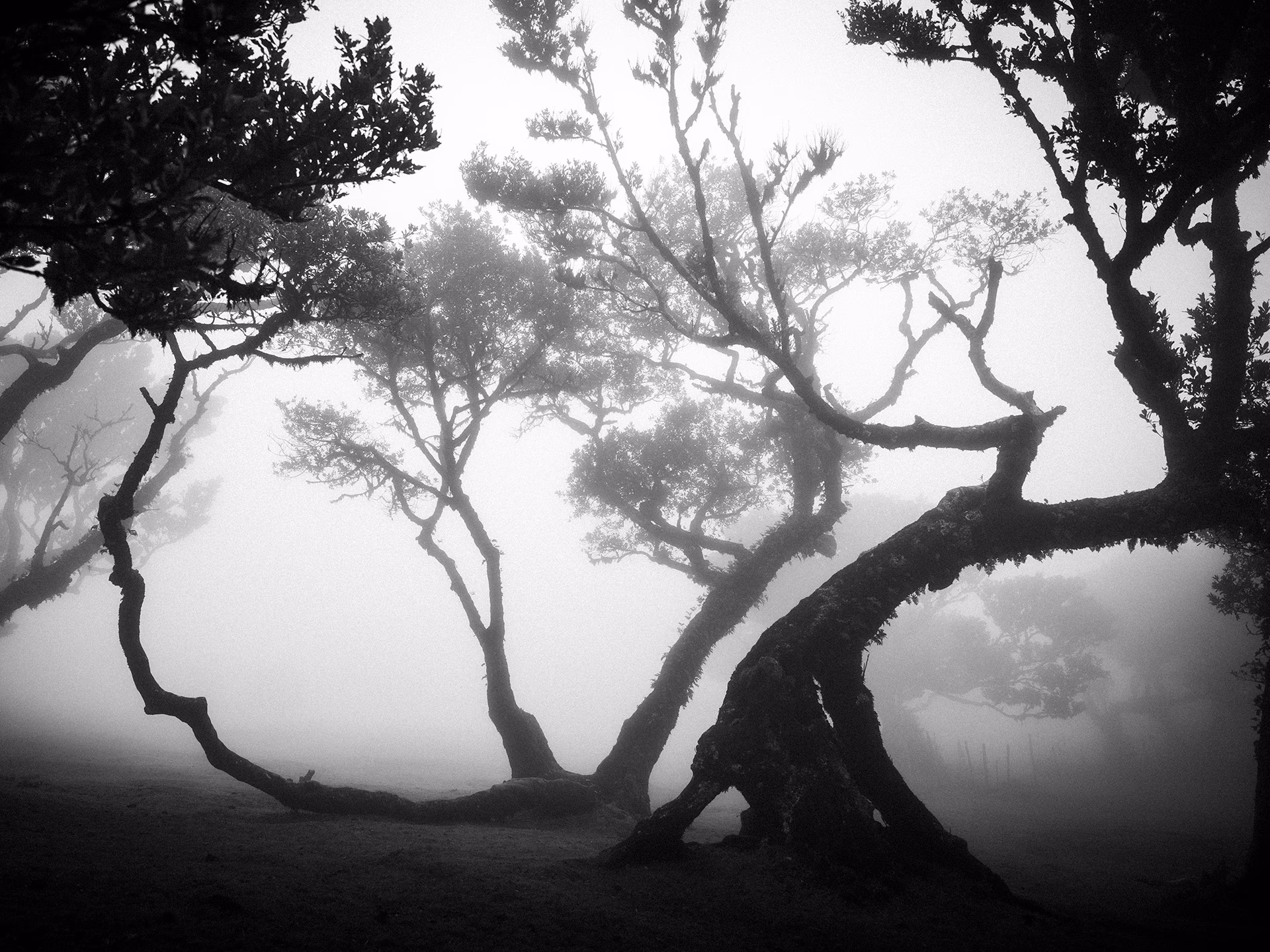 Was ist die beste ISO-Einstellung für Schwarzweißfotografie?