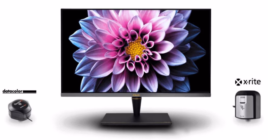 Benötige ich für die Bildbearbeitung einen speziellen Monitor?