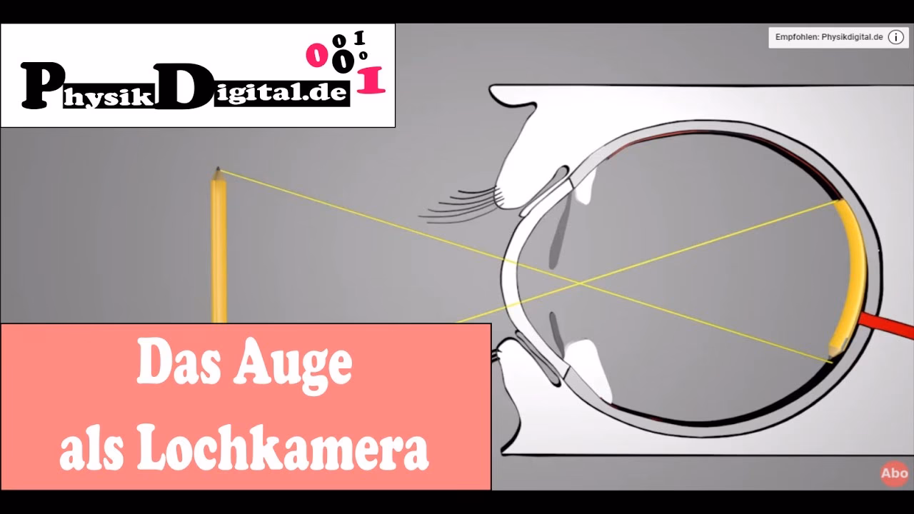 Was ist der Unterschied zwischen dem Auge und der Kamera?