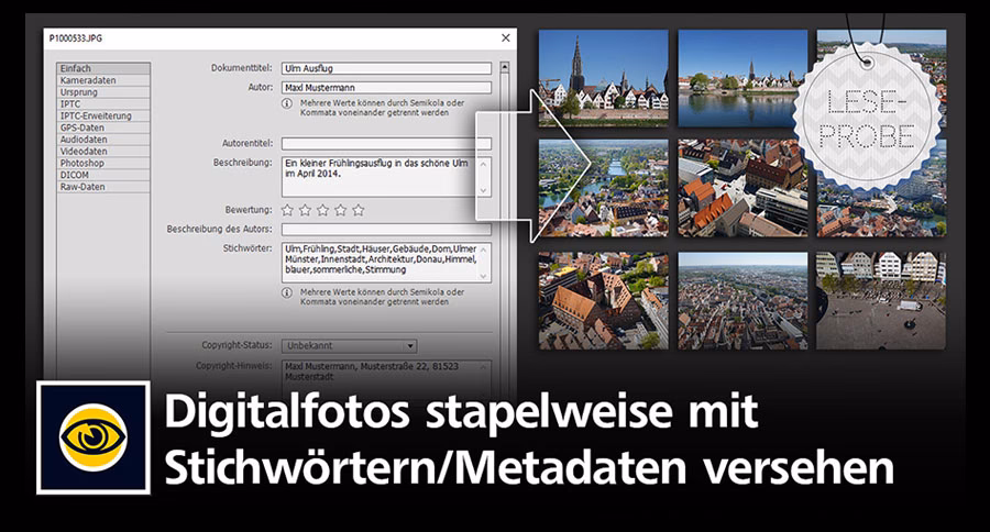 What does auto contrast do in Photoshop?