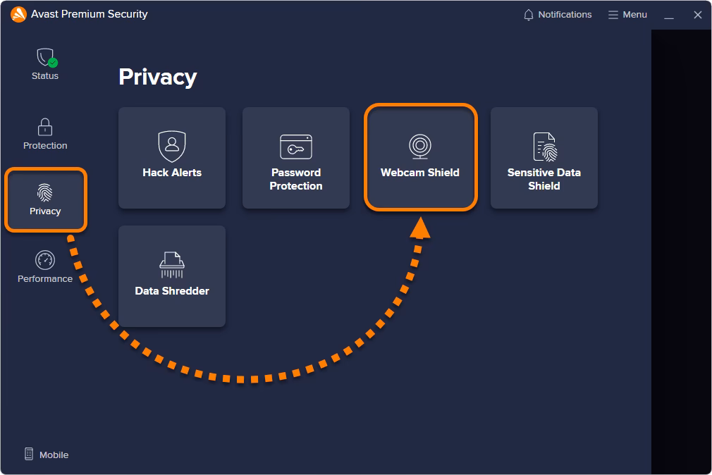 Kann Avast eine Kamera blockieren?