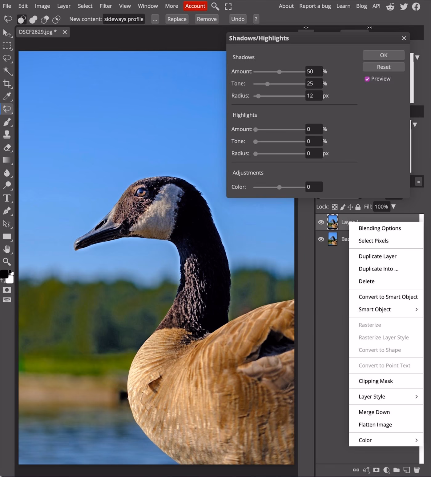 Was ist der Unterschied zwischen Photoshop und Imagej?
