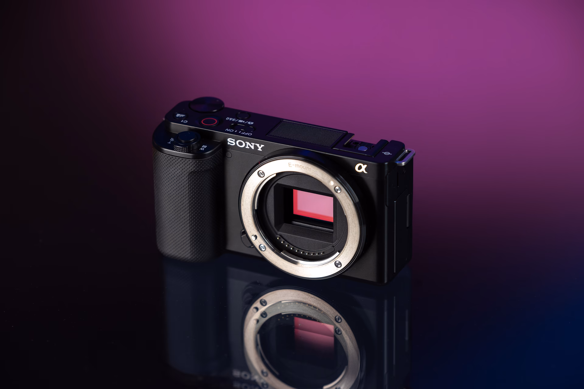 Welche Art von Kamera verwenden professionelle Videofilmer?