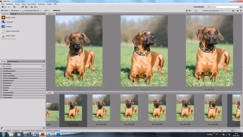 Welches Objektiv für Tierfotos?