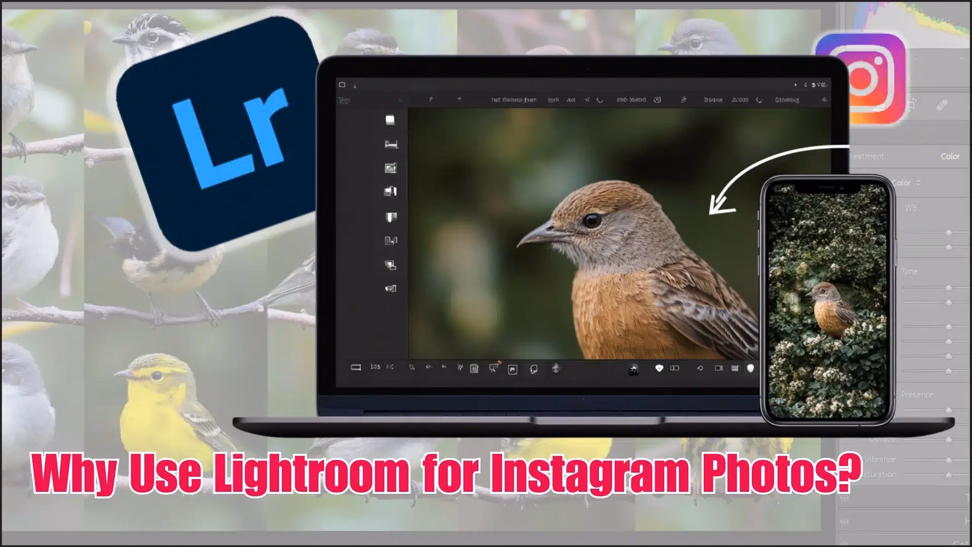 Wie beschneidet man in Lightroom für Instagram?