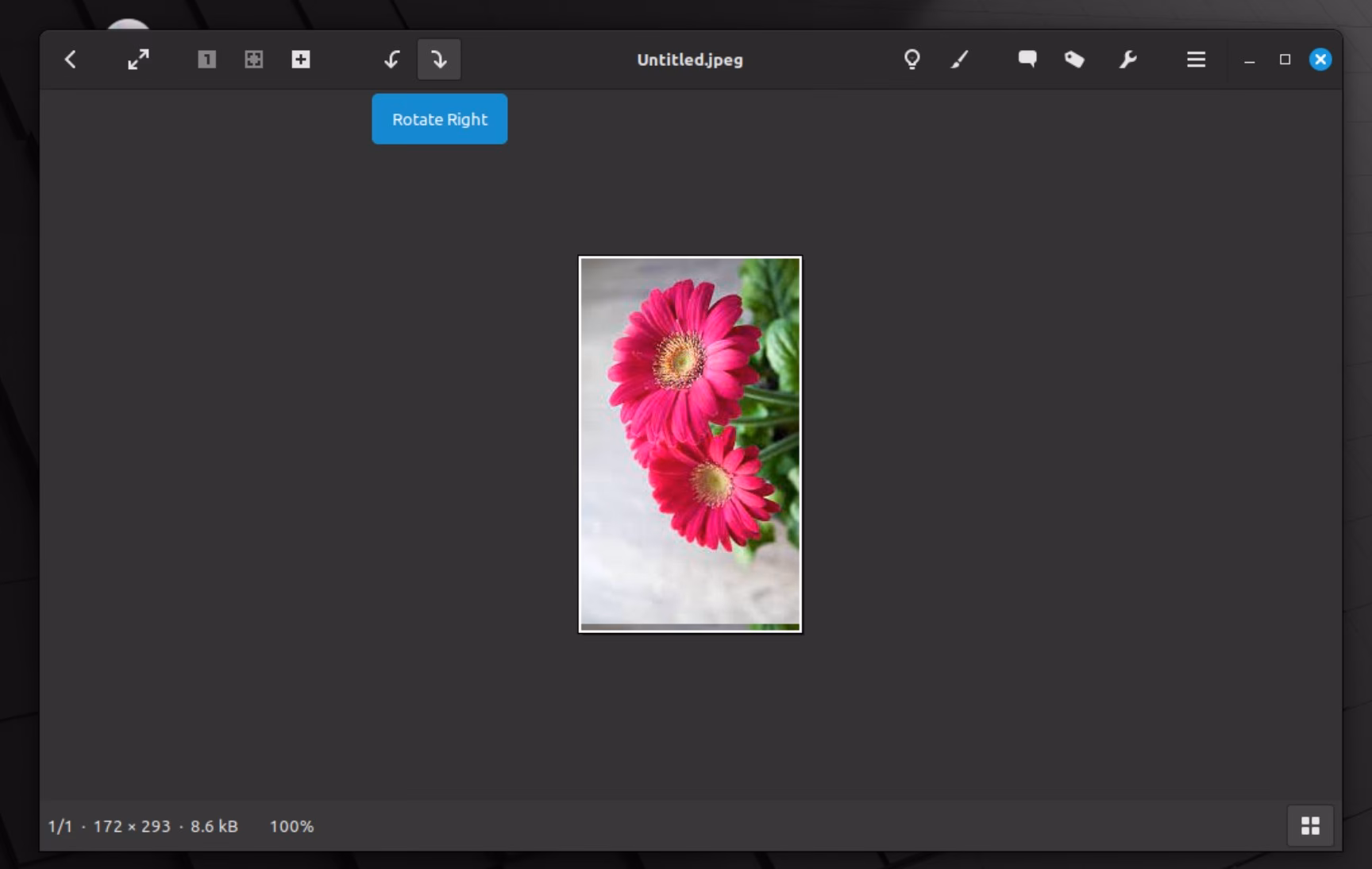 Wie lange wird Linux Mint 19 unterstützt?