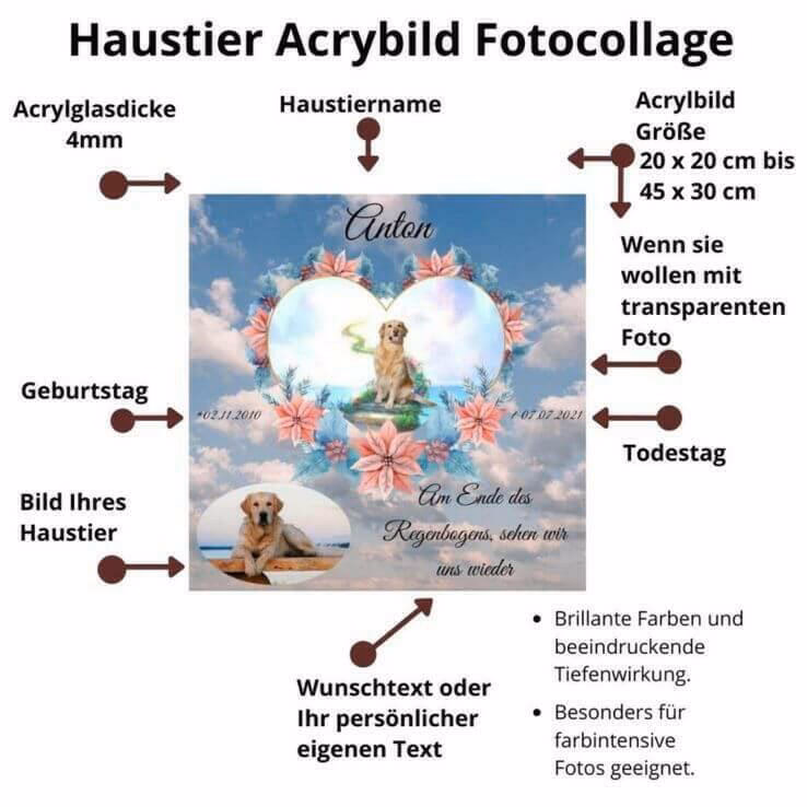 Was bedeutet es, wenn jemand über die Regenbogenbrücke geht?