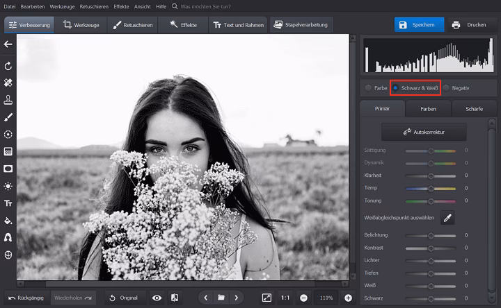 Wie kann ich Schwarz-Weiß drucken, ohne Graustufen zu verwenden?