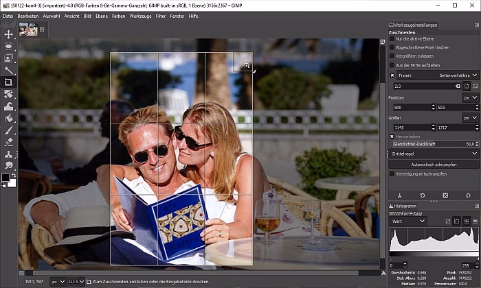 Wie kann ich ein Bild in Paint.NET auf eine bestimmte Größe Zuschneiden?