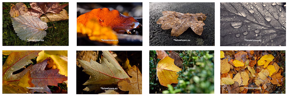 Was bedeutet "Bilderserie"?