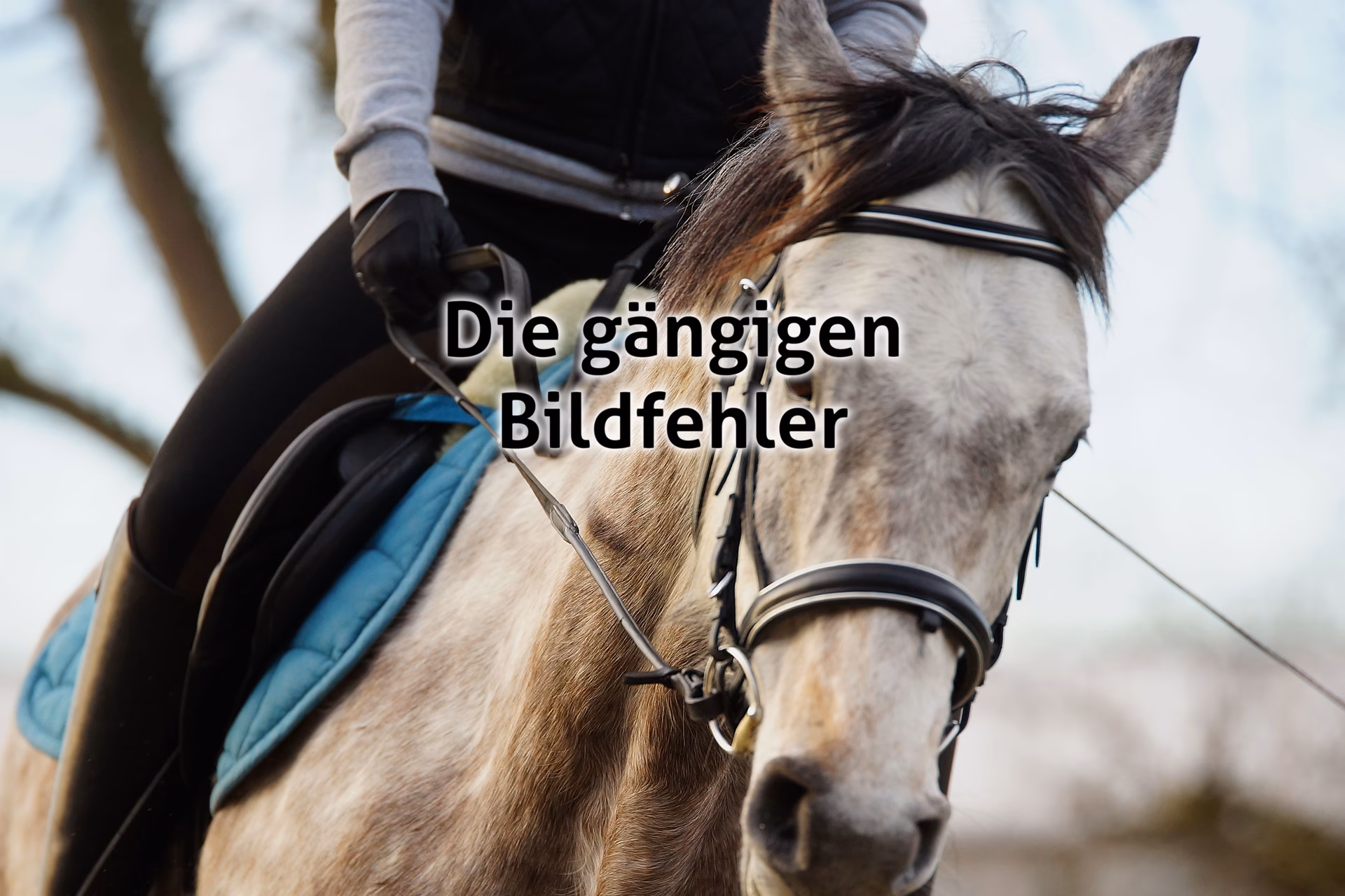 Welche Bildfehler gibt es?