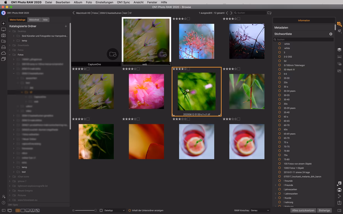 Was ist die beste Ordnerstruktur für Fotos?