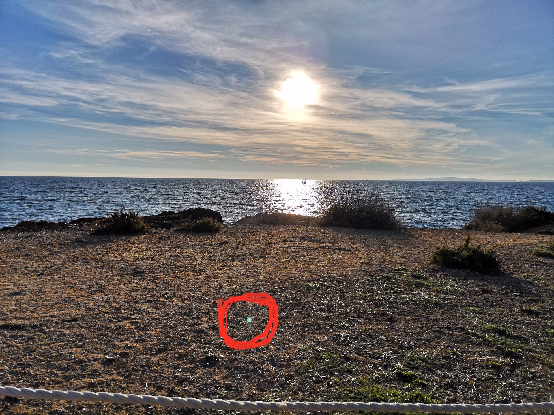 Was bedeuten blaue Punkte in Fotos?