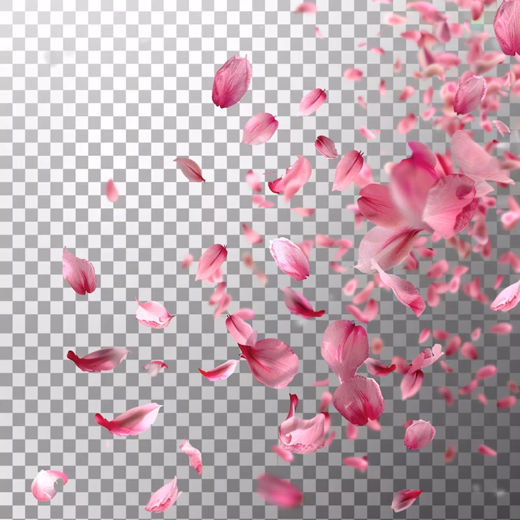 Welche Blumen sind die schönsten?