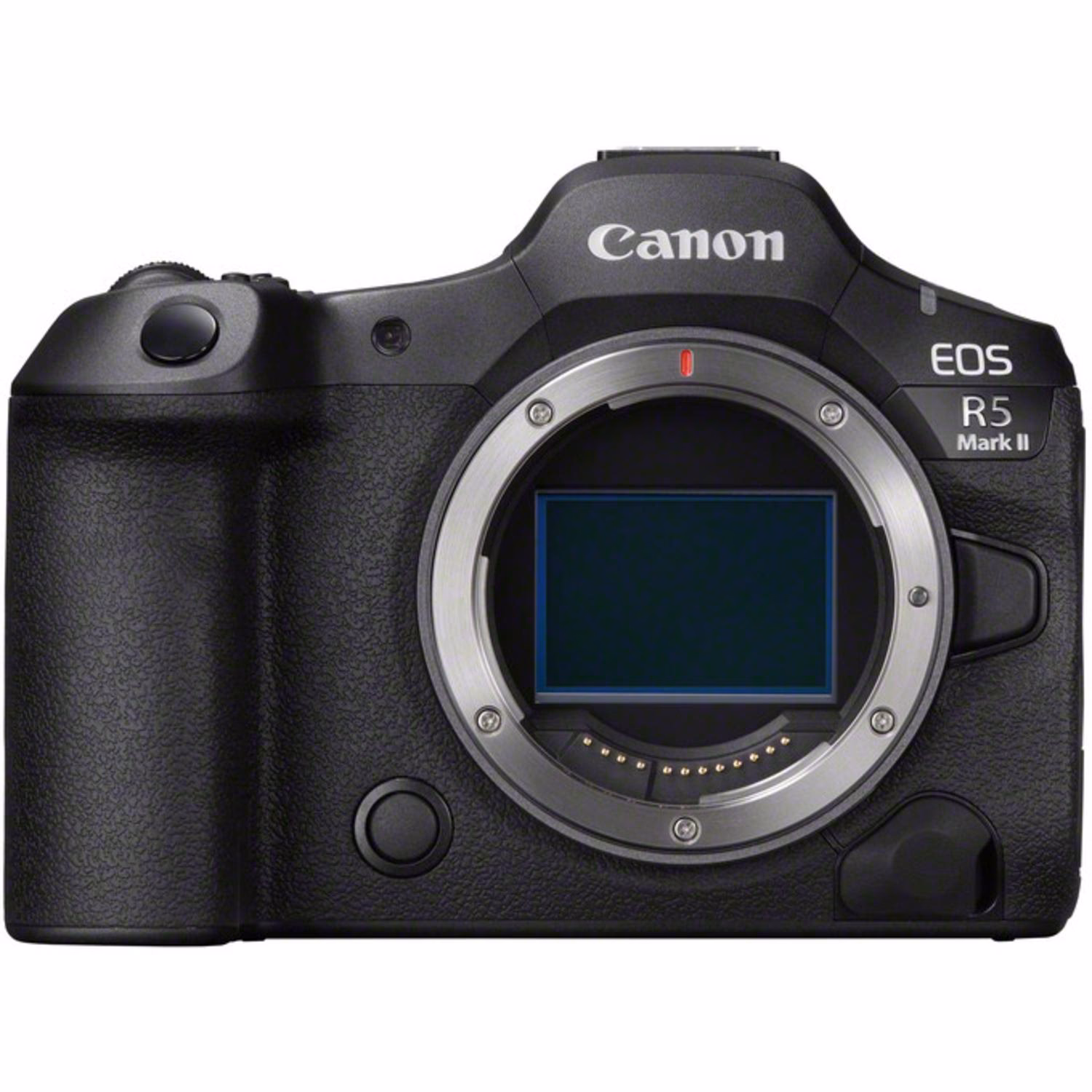 Welches Dateiformat verwenden Canon-Kameras?