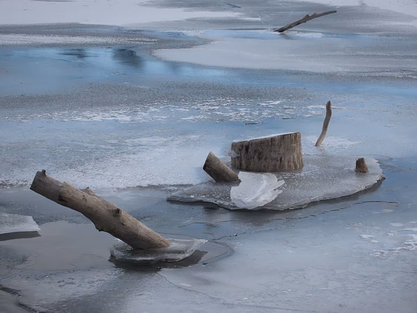 Was ist eine PowerShot Kamera?