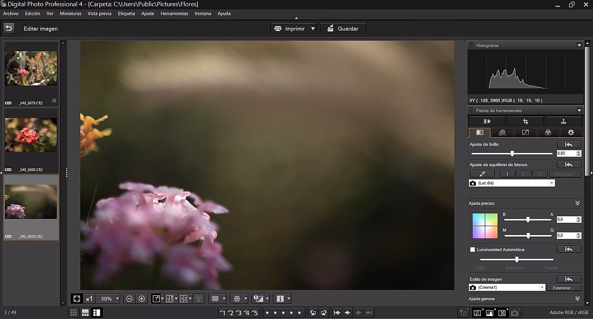 Ist Canon Digital Photo Professional kostenlos?