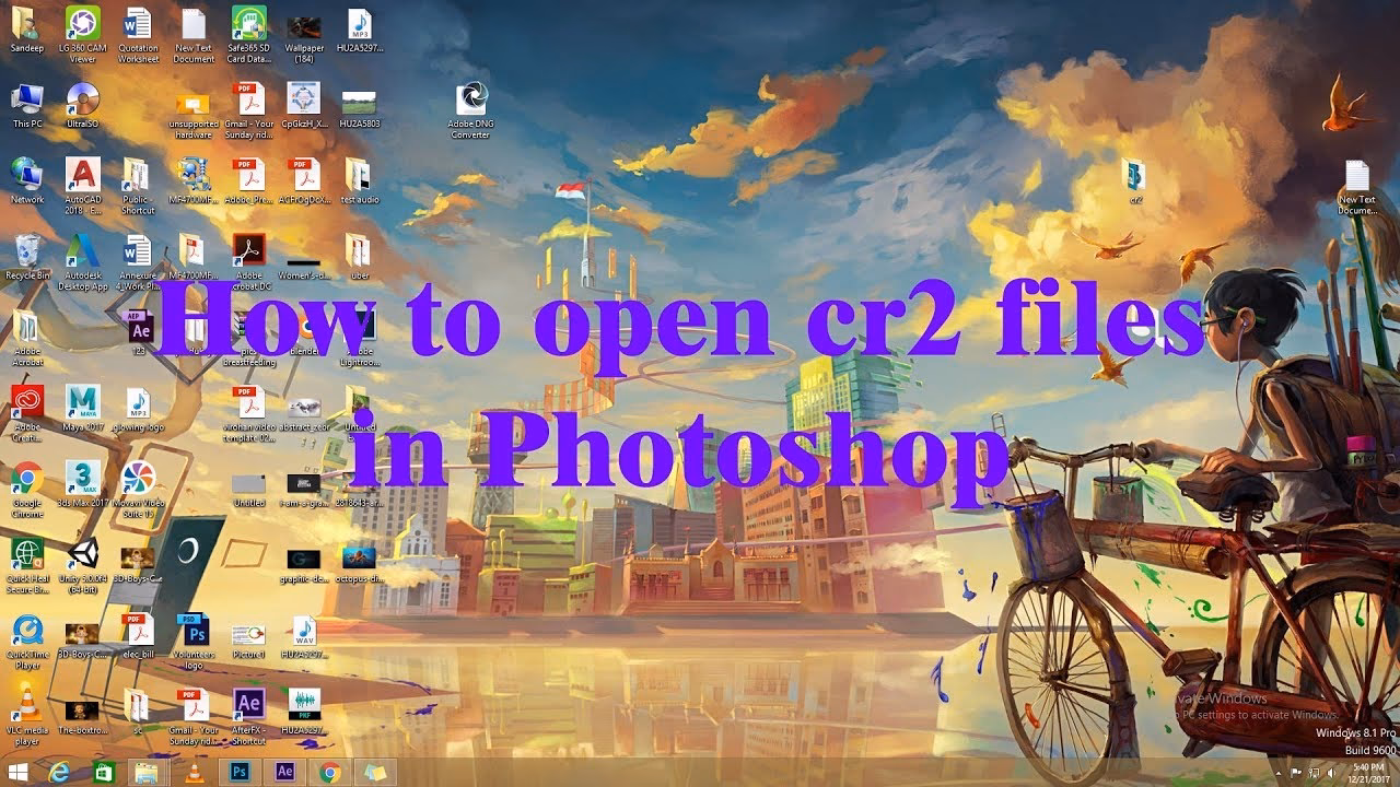 Wie öffne ich eine CR2-Datei in Photoshop?