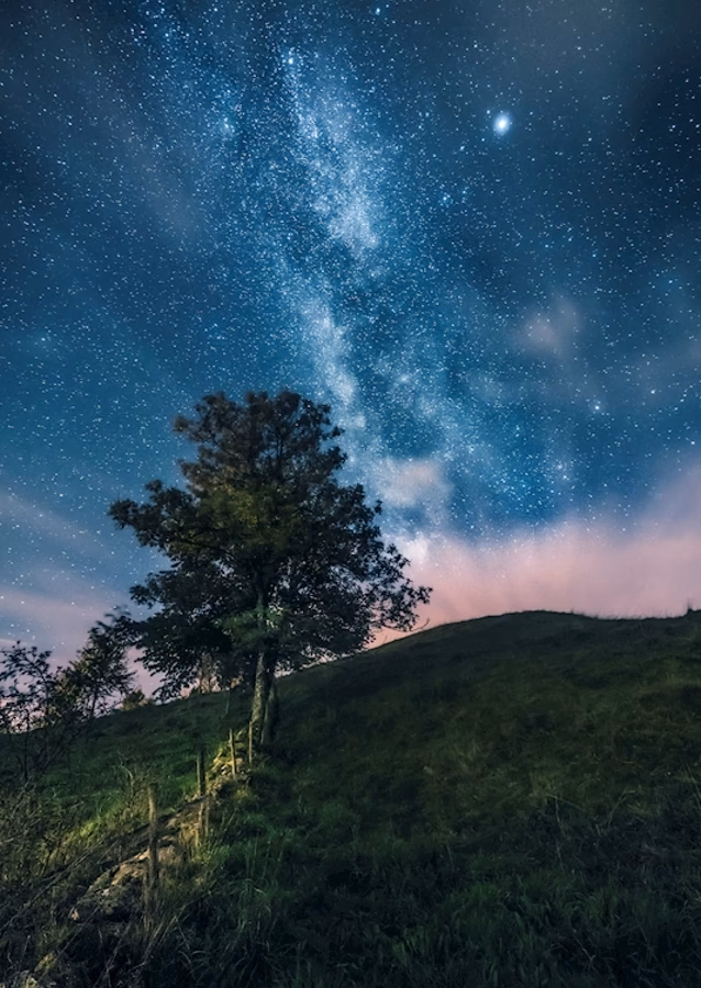 Wie hat Martin Niemöller Widerstand geleistet?