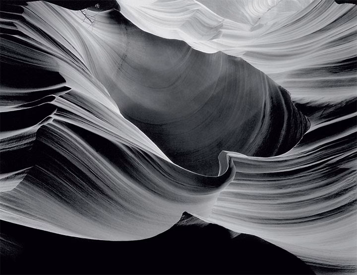 Wie viele Mitarbeiter hat die VG Bild-Kunst?