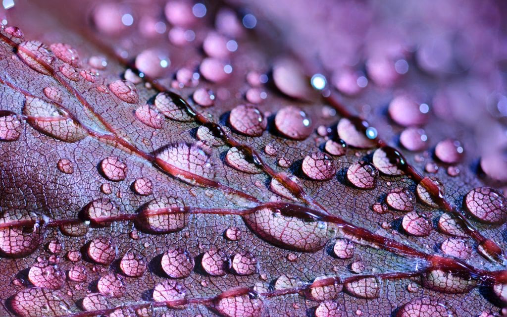 Was ist eine Detailaufnahme?