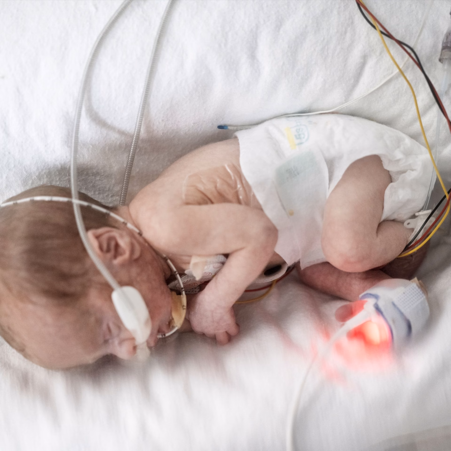 Ist es möglich, ohne Blut geboren zu werden?