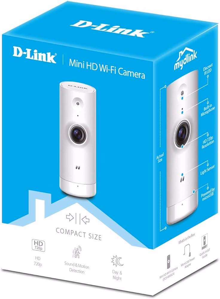 Why won't my DLink camera connect to the Internet?