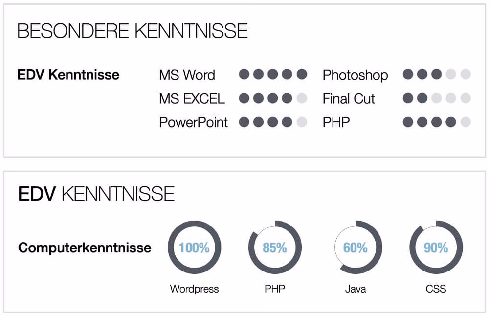 Was zählt alles unter EDV-Kenntnisse?