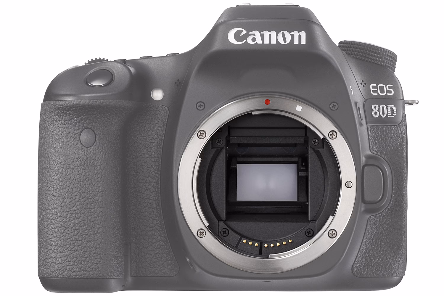 Ist EF oder EFs besser?