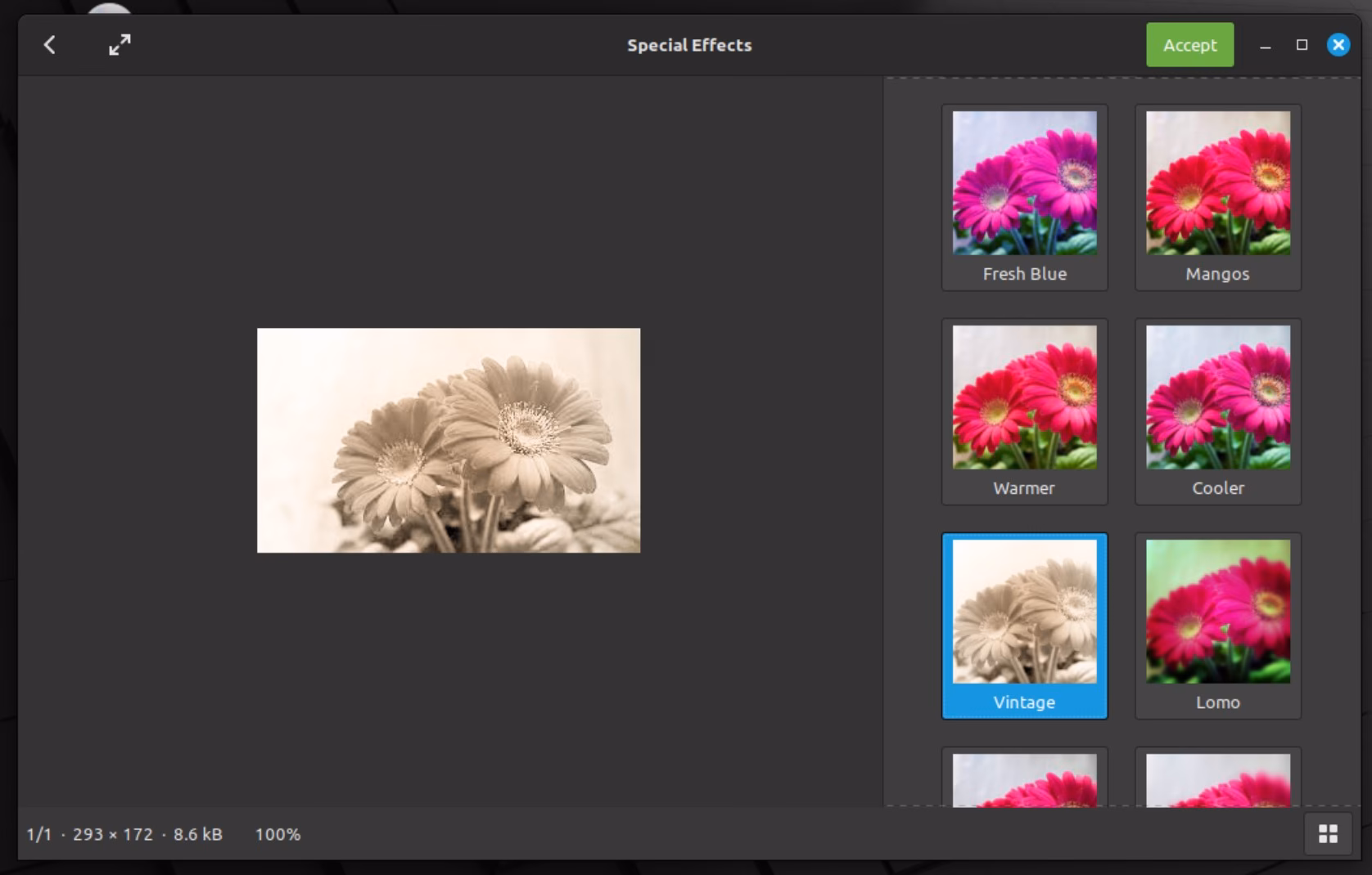 Welches Linux Mint für Anfänger?