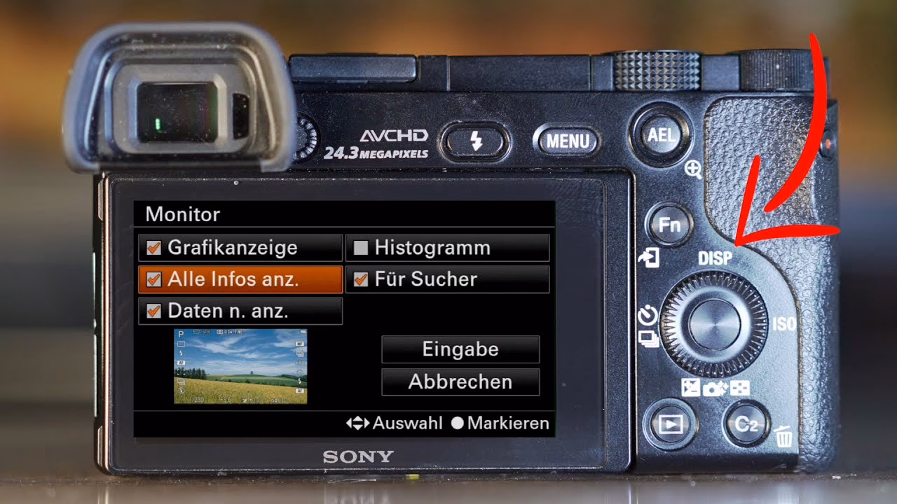 Ist die Sony A6000 eine Einsteigerkamera?