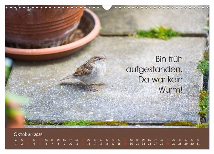 Wie schnell kann ein Mann wiederkommen?