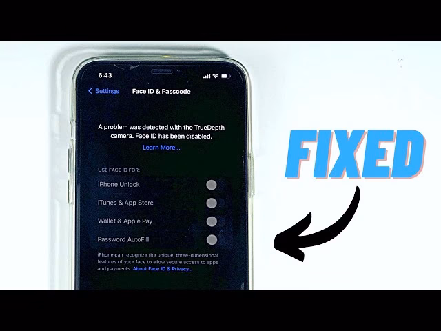 Funktioniert Face ID, wenn die Kamera kaputt ist?