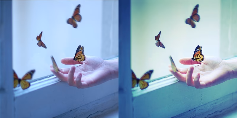 Welche Farben wirken gut auf Fotos?