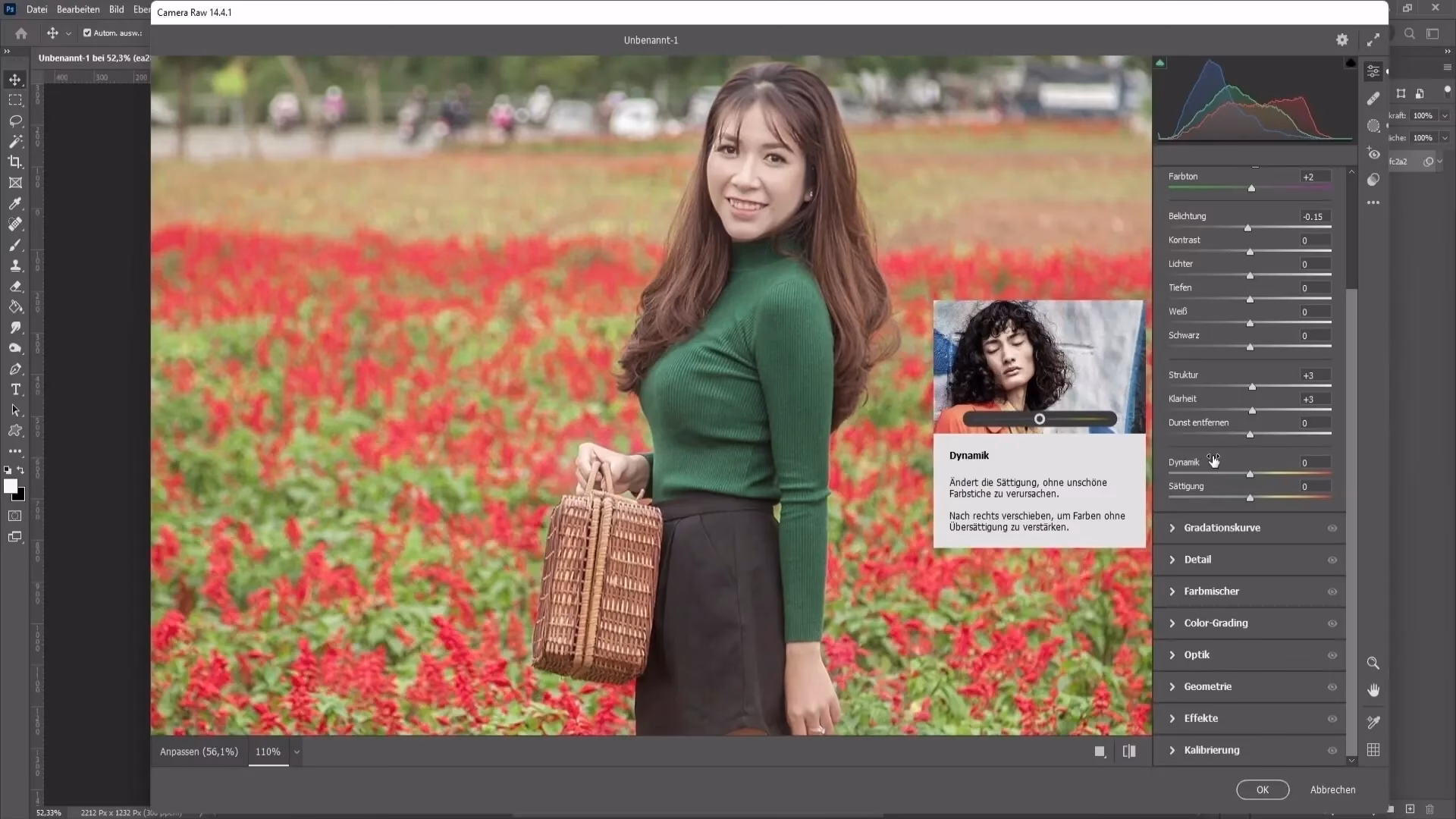 Wie reduziert man die Farbpalette in Photoshop?