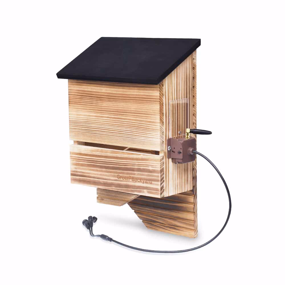 Wann sollte man einen Fledermauskasten aufhängen?