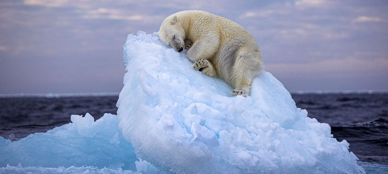Was bedeutet das Foto des Jahres?