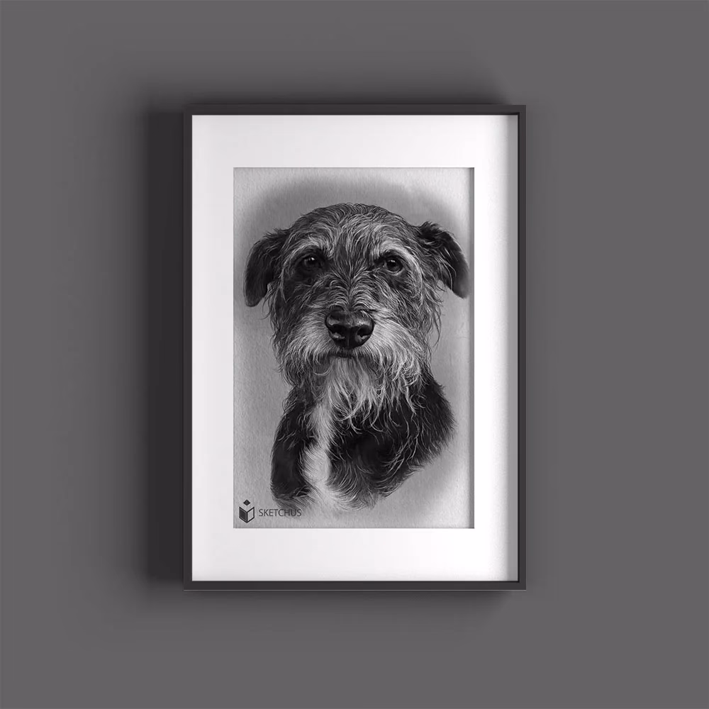 Wie lange gab es Schwarz-weiße Fotos?