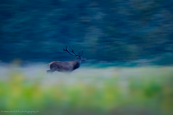 Leben die drei Helden von Tschernobyl noch?