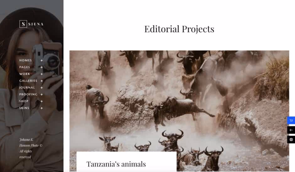 Wo ist der Sitz von WordPress?