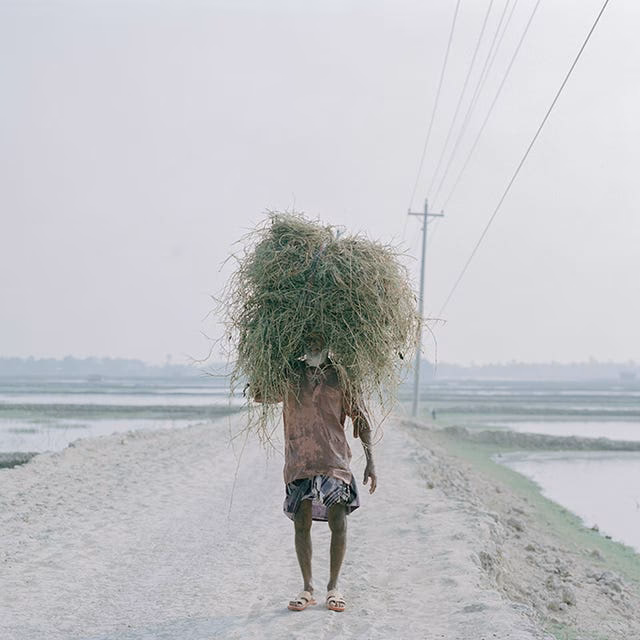 Wie fotografiere ich am besten Fotos ab?