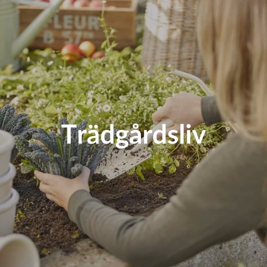 Was ist das Großformat in der Fotografie?