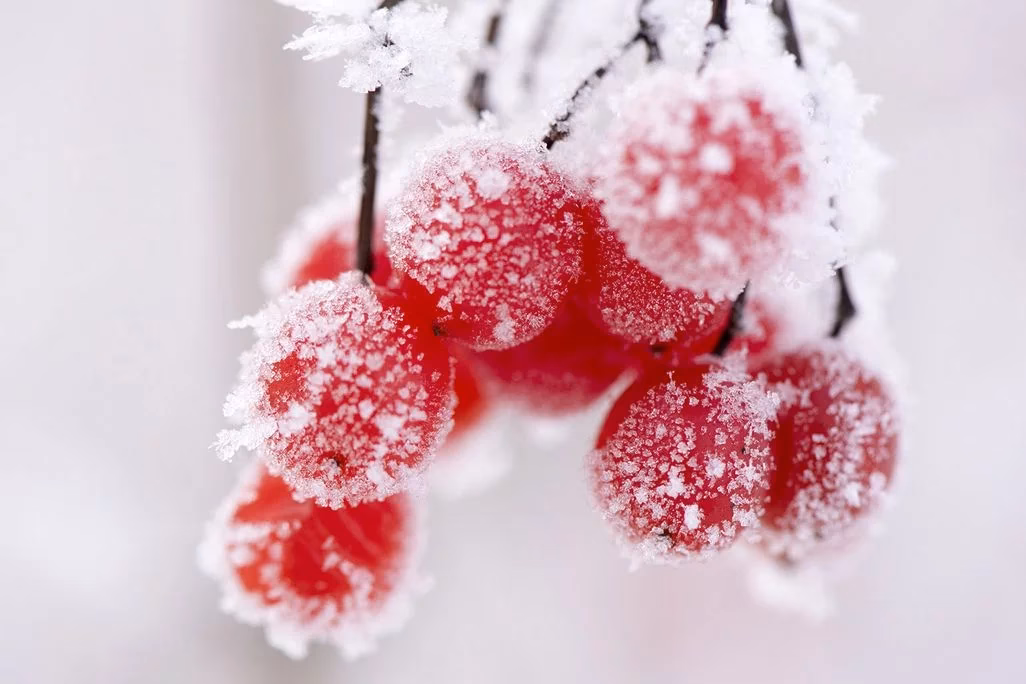 Wann ist die beste Zeit zum Fotografieren im Winter?
